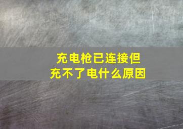 充电枪已连接但充不了电什么原因