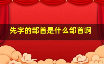 先字的部首是什么部首啊