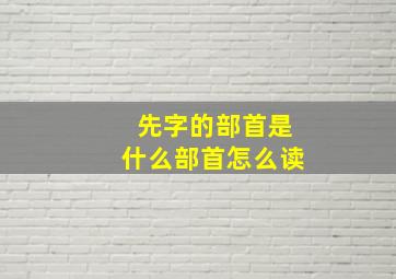 先字的部首是什么部首怎么读