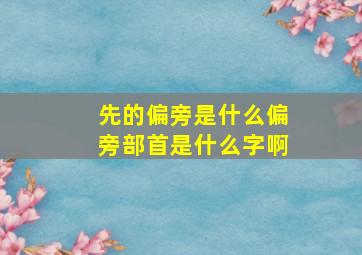 先的偏旁是什么偏旁部首是什么字啊