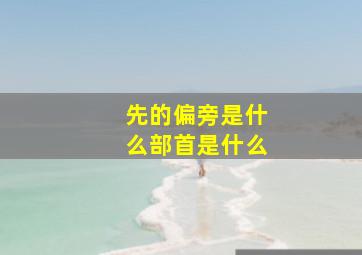 先的偏旁是什么部首是什么