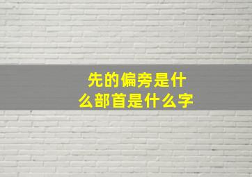 先的偏旁是什么部首是什么字