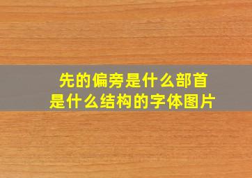 先的偏旁是什么部首是什么结构的字体图片