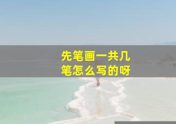 先笔画一共几笔怎么写的呀