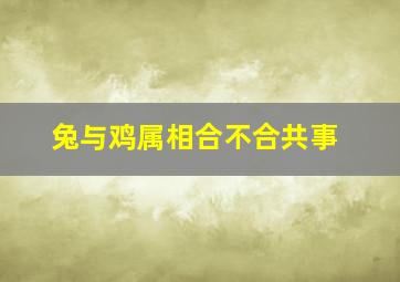 兔与鸡属相合不合共事