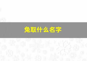 兔取什么名字