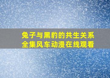 兔子与黑豹的共生关系全集风车动漫在线观看