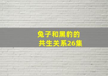 兔子和黑豹的共生关系26集