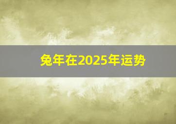 兔年在2025年运势