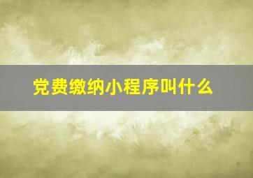 党费缴纳小程序叫什么