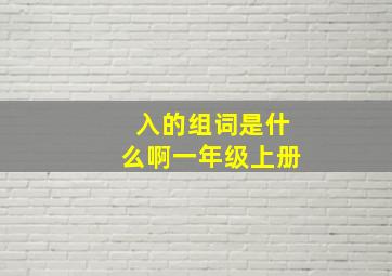 入的组词是什么啊一年级上册