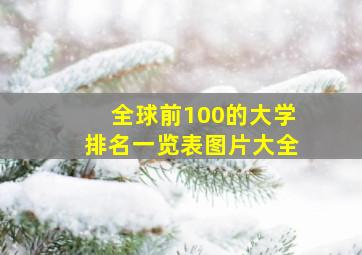 全球前100的大学排名一览表图片大全