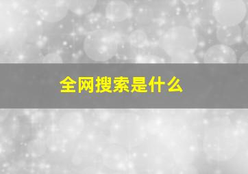 全网搜索是什么