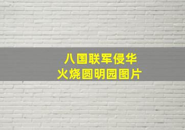 八国联军侵华火烧圆明园图片