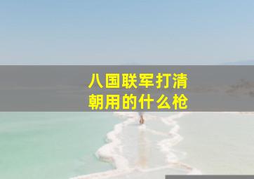 八国联军打清朝用的什么枪