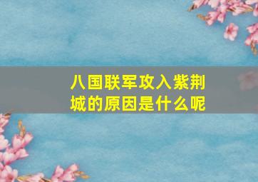 八国联军攻入紫荆城的原因是什么呢