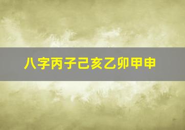 八字丙子己亥乙卯甲申