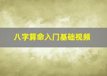 八字算命入门基础视频