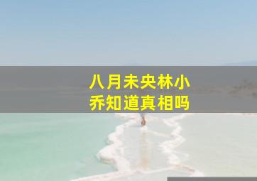 八月未央林小乔知道真相吗