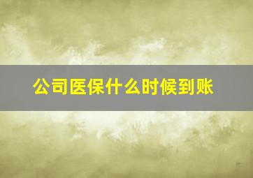 公司医保什么时候到账