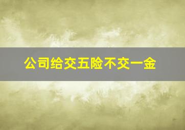 公司给交五险不交一金