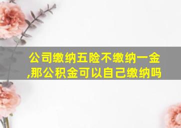 公司缴纳五险不缴纳一金,那公积金可以自己缴纳吗