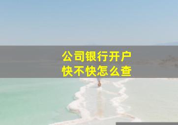 公司银行开户快不快怎么查