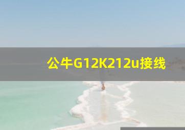 公牛G12K212u接线