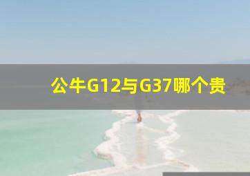 公牛G12与G37哪个贵