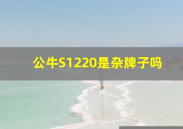 公牛S1220是杂牌子吗