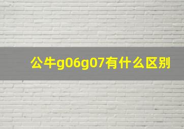 公牛g06g07有什么区别