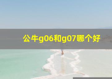 公牛g06和g07哪个好