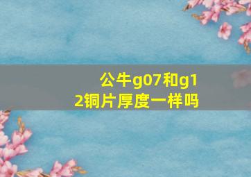 公牛g07和g12铜片厚度一样吗