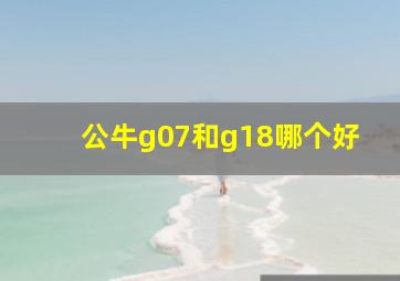 公牛g07和g18哪个好