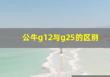 公牛g12与g25的区别