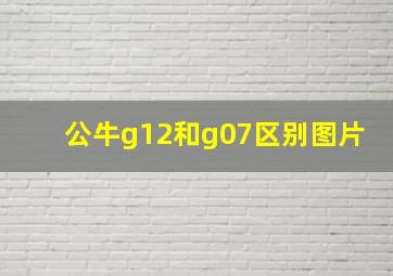 公牛g12和g07区别图片