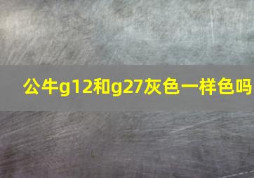 公牛g12和g27灰色一样色吗