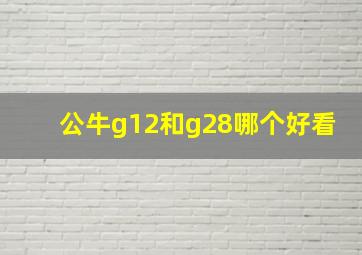 公牛g12和g28哪个好看