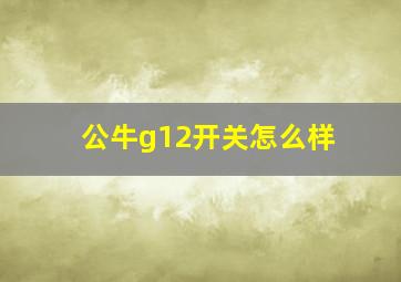 公牛g12开关怎么样