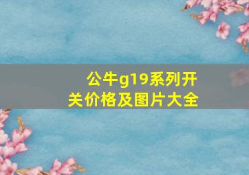 公牛g19系列开关价格及图片大全