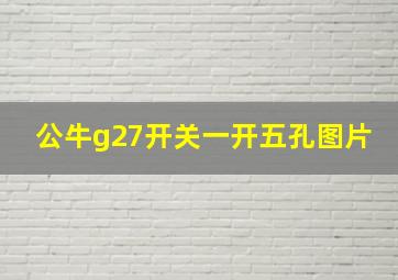 公牛g27开关一开五孔图片