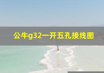 公牛g32一开五孔接线图