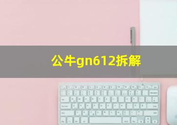 公牛gn612拆解