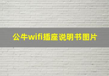 公牛wifi插座说明书图片