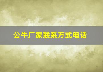 公牛厂家联系方式电话