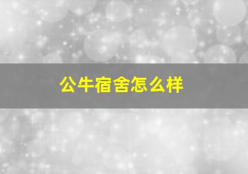 公牛宿舍怎么样