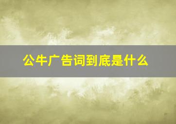 公牛广告词到底是什么