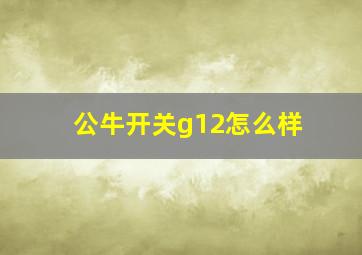 公牛开关g12怎么样