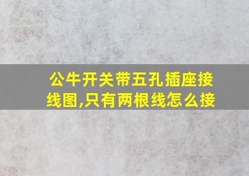 公牛开关带五孔插座接线图,只有两根线怎么接