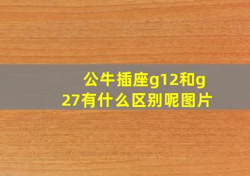 公牛插座g12和g27有什么区别呢图片